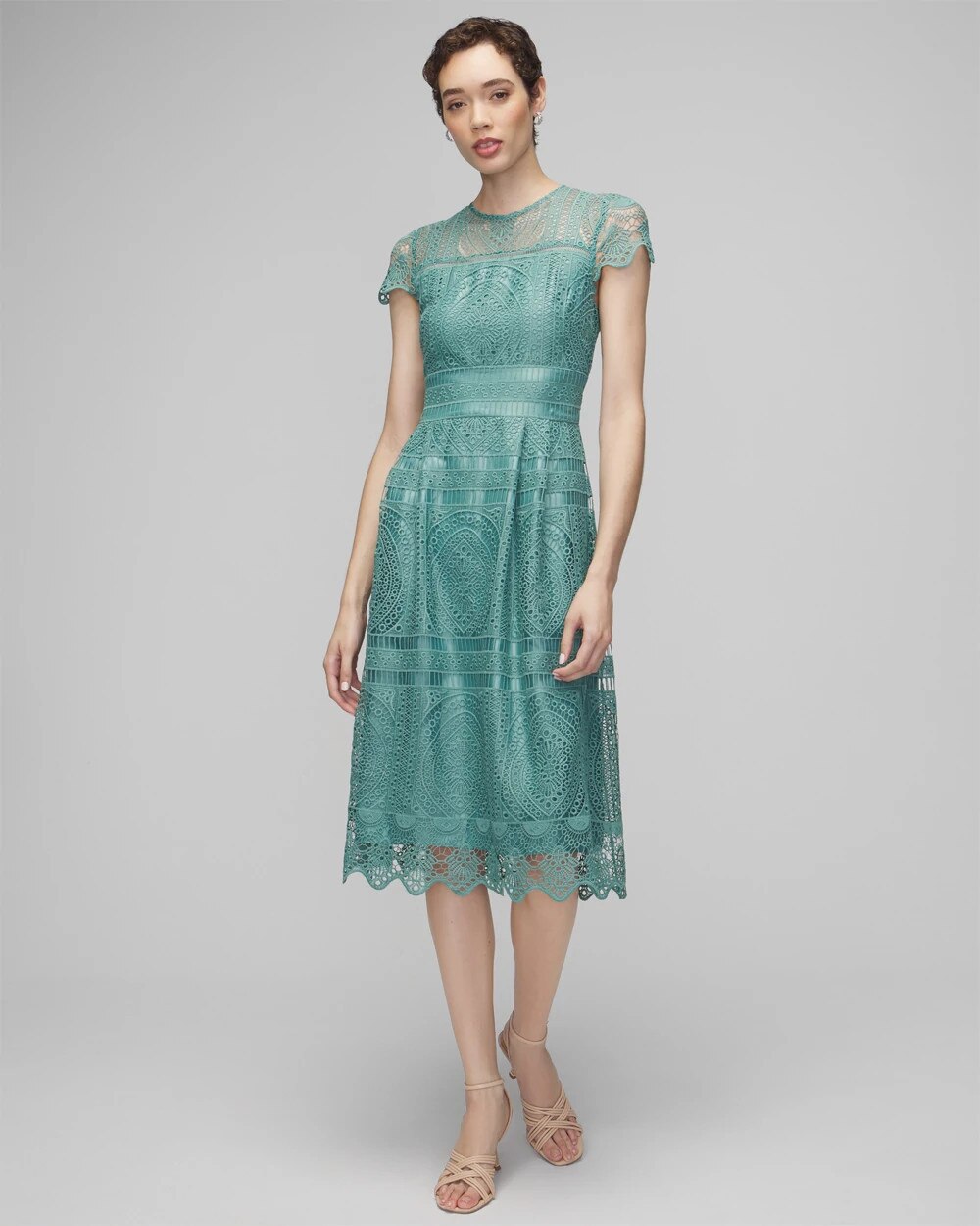 Embroidered Lace Fit-and-Flare Dress | White House Black Market